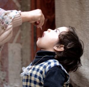 Polio vaccination drops Peshawar Khyber-Pakhtunkhwa
