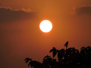 India heatwave extreme weather summer