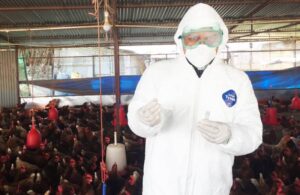 FAO, Veterinary, avian influenza, Livestock, Nepal