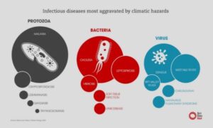 Virus, Bacteria, dengue, chikungunya, Lyme disease, West Nile Virus, Zika, trypanosomiasis, echinococcosis, malaria