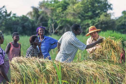 United We Stand to Achieve Sustainable Development OneWorld SouthAsia