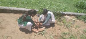 Youth for change trees environment green Uttarakhand